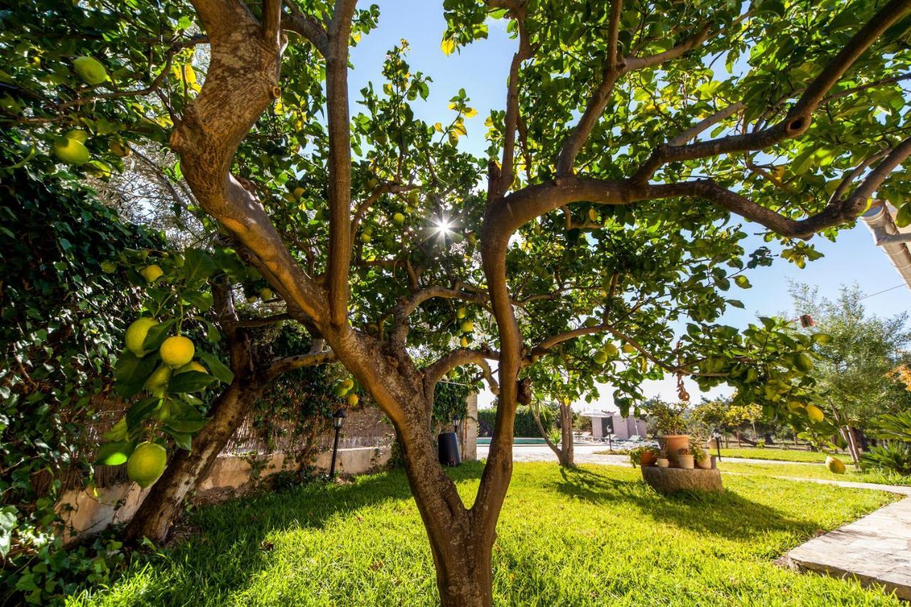 Villa Tabo